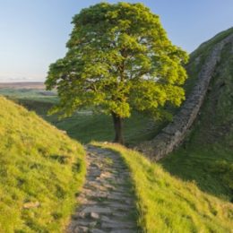 Hadrian's Wall