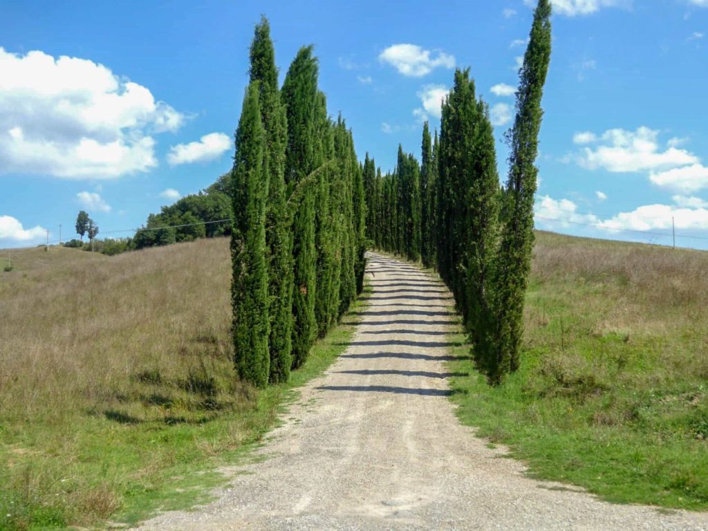 Via Francigena cycling