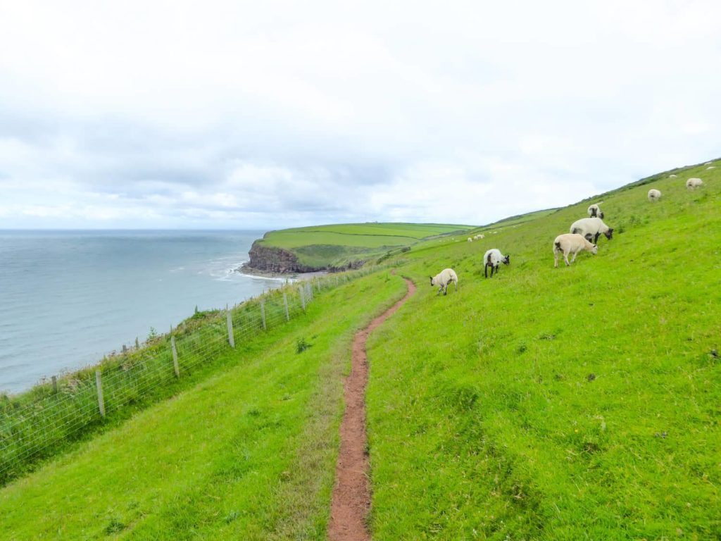 Walking holiday in UK - Coast to Coast 