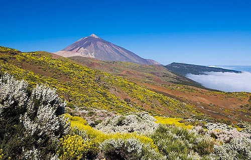 Mont Teide Hike