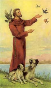 saint francis animals