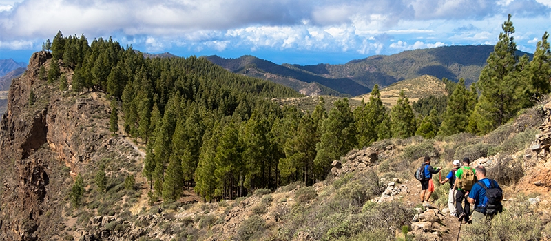 Canary Island Walking Festival