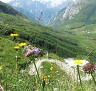 Mont Blanc landscape