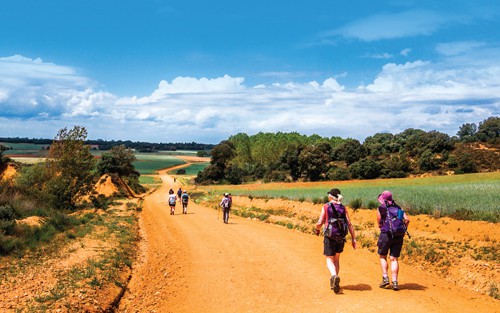 Camino de Santiago