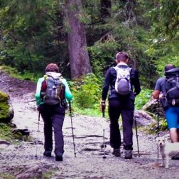 hikers on the Tour de Mont Blanc