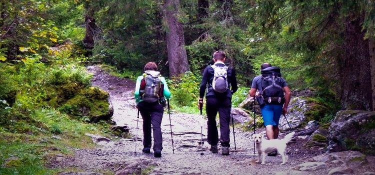 hikers on the Tour de Mont Blanc